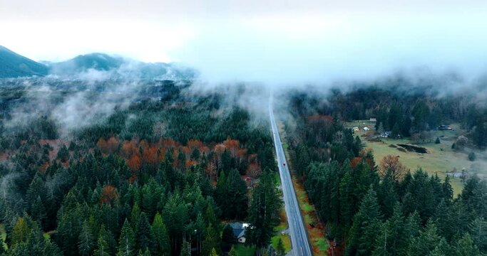 Two-lane highway crossing the vast evergreen pine-tree woods. Scenic view of Mount Rainer National Park, Washington State, the USA from top view.