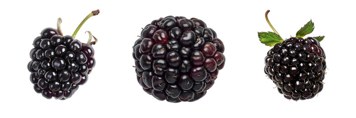 Set of A Marionberry is on a ,transparent background