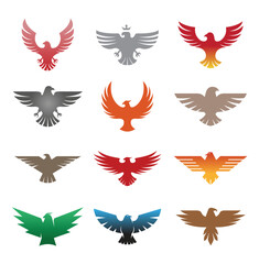 Creative phoenix eagles birds collection logo design symbol vector illustration  - obrazy, fototapety, plakaty