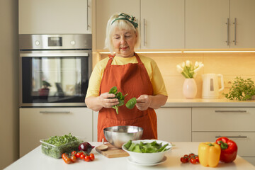 Obraz na płótnie Canvas Senior 60s blond Caucasian smiling woman holding a knife and fresh spinach whole preparing a bowl of healthy diet salad in her rustic eco kitchen. High quality photo