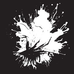 Abstract Black and White Patterns: Stucco, Silk, wave, Brush Strokes, and Realistic Smoke