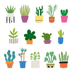 Set Hand Drawn Plants in Pots. Botanical Garden Vector Illustration