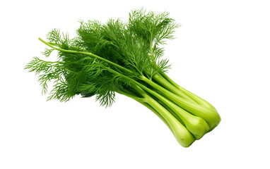 Dill on Clear Background