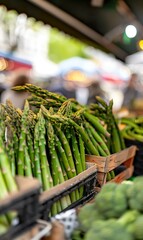 Asparagus bundles bio, podded bunch vibrant green, fresh and tasty, selling at a local farm market, healthy vegetables, vegan agriculture
