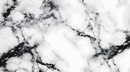 A black and white marble background. White marble with veins of black running through.