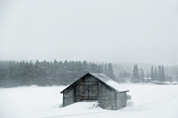 Snowy houses