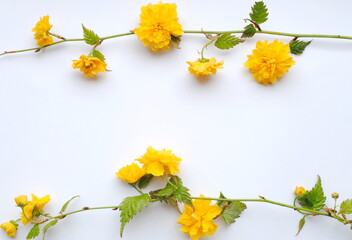 Spring, concept. Frame, pattern of yellow flowers and green branches on a white background. Background, postcard, place for text, top view, copy.