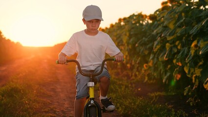 Little boy cyclist. Child rides bicycle, closeup. Child bike ride in nature, sun. Childs hands...