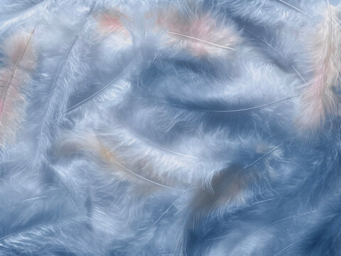 abstract textured background delicate blue pink beautiful feathers