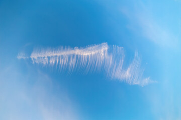 Sky structure, cirrus fibratus vertebratus. A feather in the sky