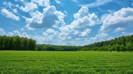 Fotobehang A large field with trees and clouds in the sky, AI © starush