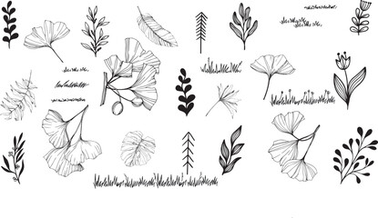 Leaf brush hand drawn ink elements. Black crayon texture brush abstract olive, flower, leaf abstract hand drawn illustration. Brush branch, botanical floral silhouette vector