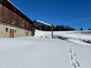 Fototapeta premium Wonderful winter hiking trails and traces after the winter snowfall above the tourist resorts of Valbella and Lenzerheide in the Swiss Alps - Canton of Grisons, Switzerland (Schweiz)