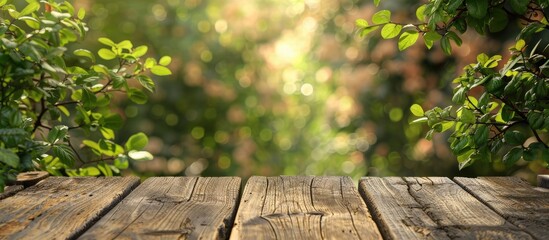 Wooden planks on a backdrop of spring foliage