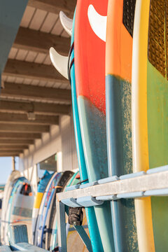 Vibrant surfboards lined up ready for action