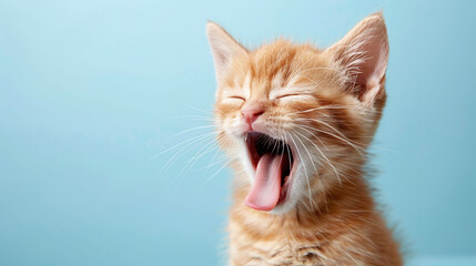 Ginger kitten yawning on a light blue background. Endearing sleepy pet concept for design and print