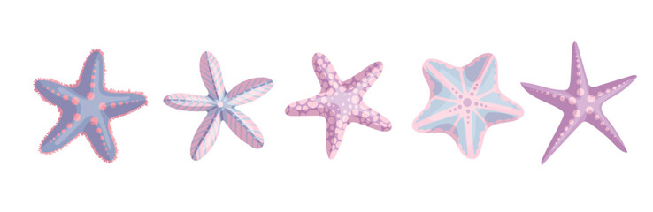 Set of colorful starfish. Vector graphics. - obrazy, fototapety, plakaty