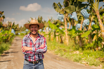 Fototapeta premium Portrait of a farmer in the middle of a banana plantation in the tropics of America.