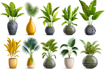 Collection of tropical banana trees (Musa spp.) and coconut palm plants in colorful or gray vases, isolated on a transparent background. PNG cutout or clipping path vector icon, white background, blac