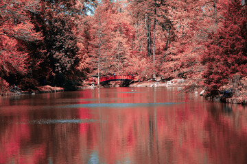 Lake beside a forest with vibrant red foliage