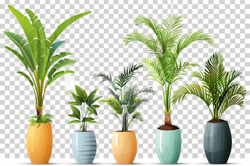 Collection of tropical banana trees (Musa spp.) and coconut palm plants in colorful or gray vases, isolated on a transparent background. PNG cutout or clipping path vector icon, white background, blac