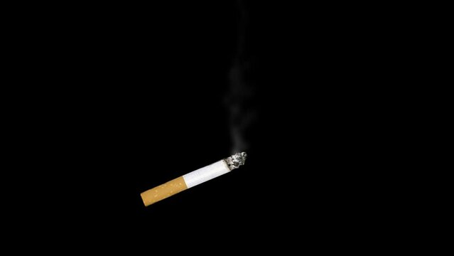 Cigarette appears on black background and exudes smoke. Animated futage about smoking