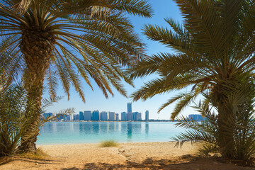 Abu Dhabi, United Arab Emirates,  Panoramic view of the sandy beach with palm trees, the skyscrapers of Abu Dhabi are visible in the background, at daytime