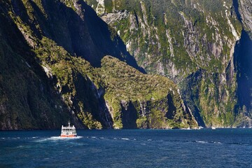 Landscape in New Zealand Fjordland, Milford Sound