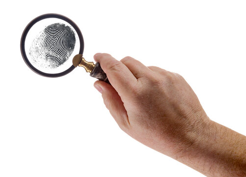 Male Hand Holding Magnifying Glass Viewing A Fingerprint on a White Background.