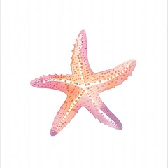 Starfish Illustration on White Background