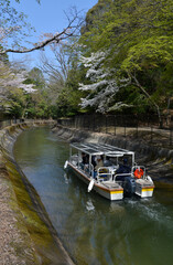 琵琶湖疏水　びわ湖疏水船　京都市山科区