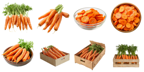 Carrot png collection in 3d transparent for product presentation.
