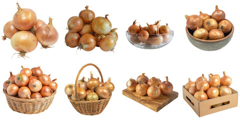 Set of onion png mockup in 3d without backoground for decoration.