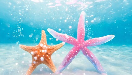Fototapeta na wymiar two starfish