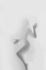 silhute feminina foto artistica sensualidade 