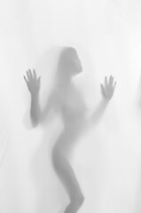 silhute feminina foto artistica sensualidade 