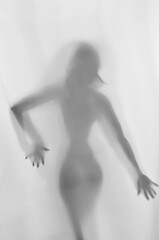 silhute feminina foto artistica sensualidade 