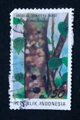 Antique philatelic stamp with illustration of an andala tree