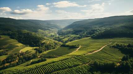 Beautiful summer landscape with green mountains and hills, vineyards, river and fields