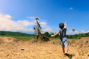 Kid play Kite in ricefield in afternoon (Anak bermain Layangan di sawah di sore hari)	