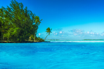 Fototapeta na wymiar Bora Bora - the most majestic island