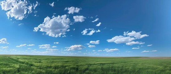 A green field beneath a blue sky dotted with clouds. - Powered by Adobe