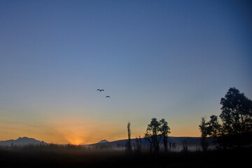 Hermosos amanecer en xochimilco