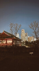 Tokyo, Japon. March 29, 2024: Beautiful Sensoji temple illuminated at night.