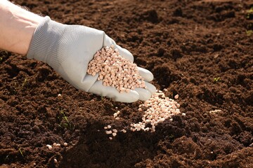 Man fertilizing soil, closeup. Space for text
