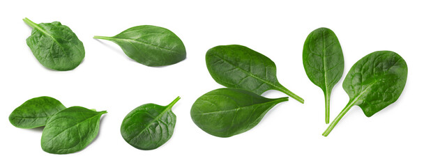 Fresh spinach leaves isolated on white, set