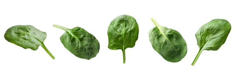 Foto op Plexiglas Fresh spinach leaves isolated on white, set © New Africa