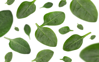 Fresh green spinach leaves falling on white background