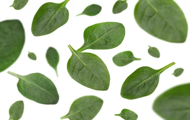 Gordijnen Fresh green spinach leaves falling on white background © New Africa