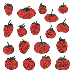a collection of strawberries illustration